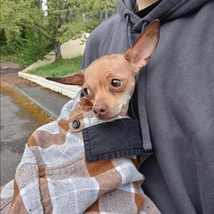 Meet your Posher, Johnson